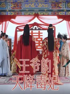 王爷的天降毒妃免费高清完整版在线观看